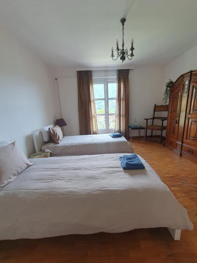 Golden Hill - Big Rooms With Kitchen And Garden Collina d'Oro Eksteriør bilde