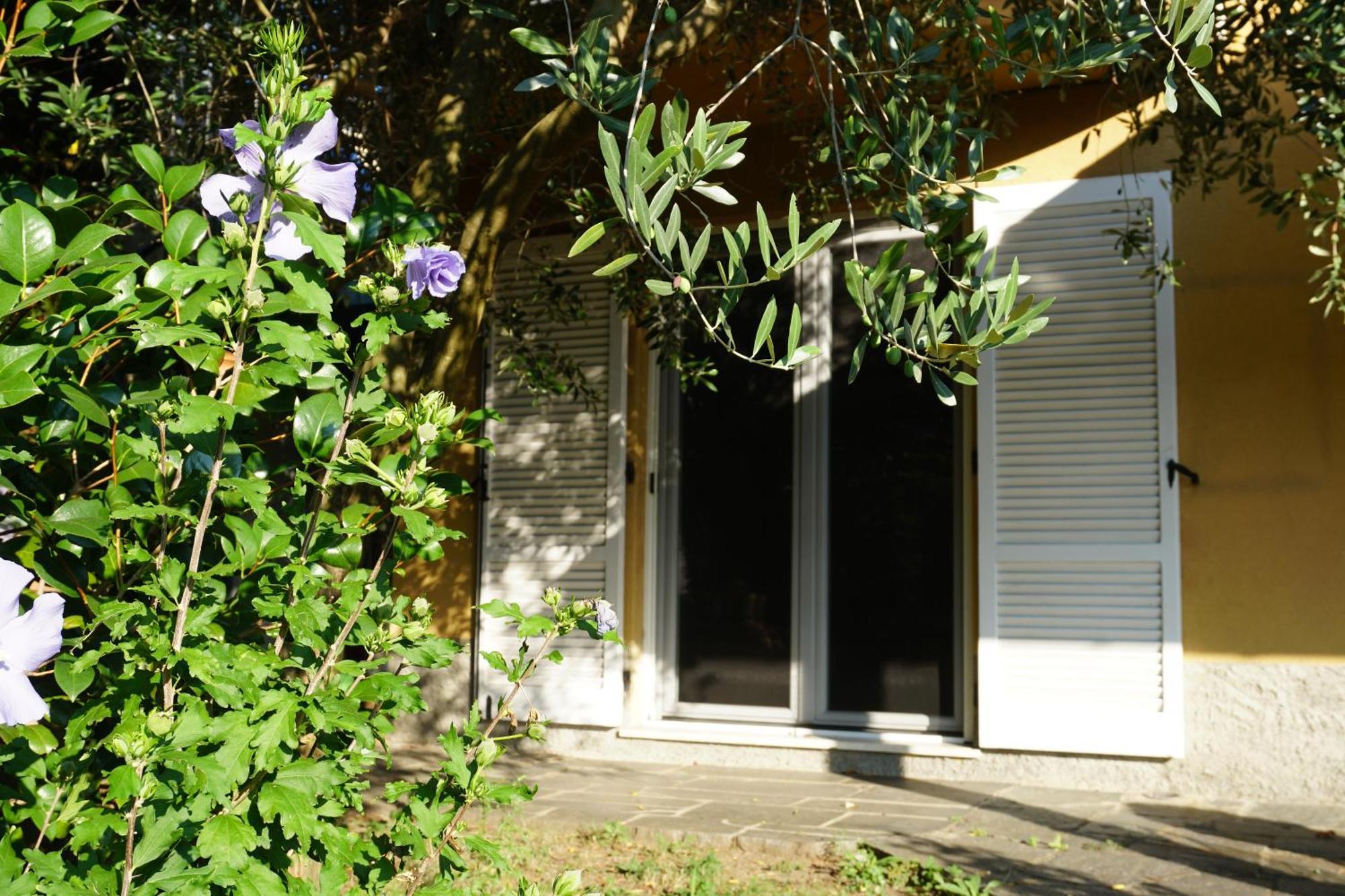 Golden Hill - Big Rooms With Kitchen And Garden Collina d'Oro Eksteriør bilde